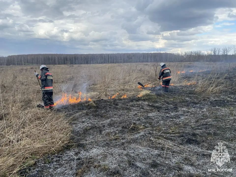 �� ����� ��������� ��������� 19 ��� �������� �� ������� ����� ����� � ������