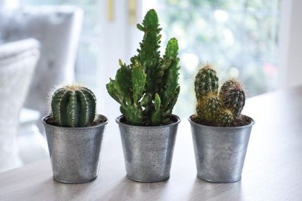 ���������� �������� � ������� ���