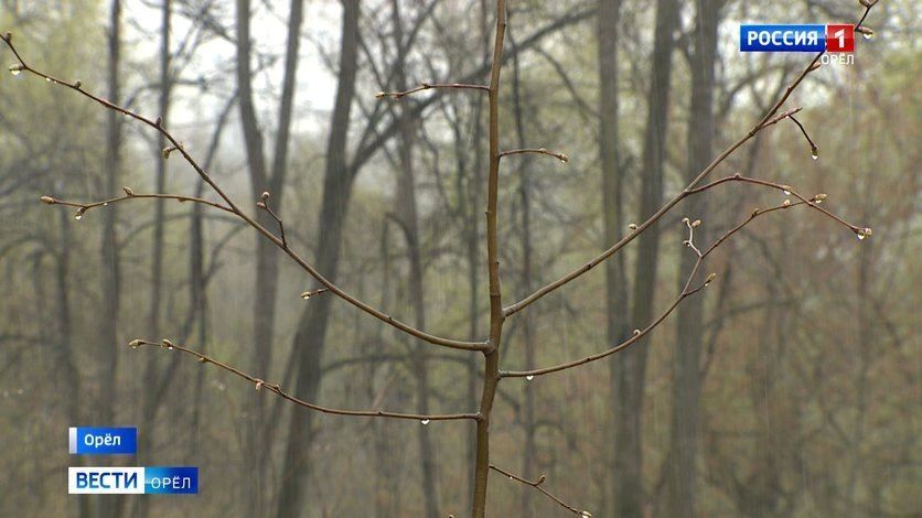 � ������� ���� ��� ����� ������� "��� ������"