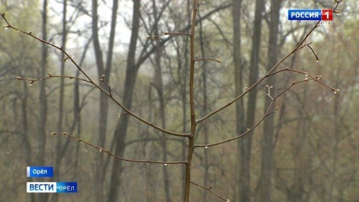 � ������� ���� ��� ����� ������� "��� ������"