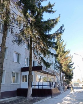 ����������� �������� ��� ������������� ����� ������������ �������