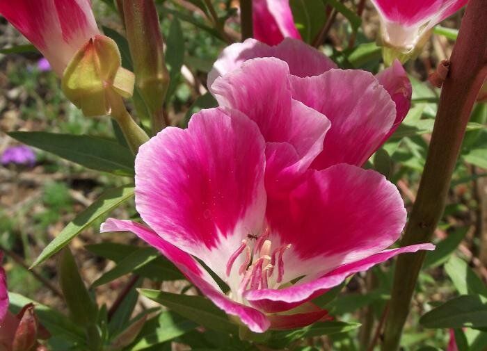 �������: �������� ������ ������ ����