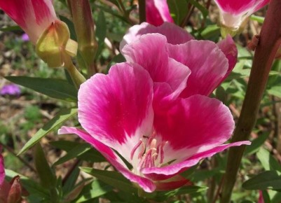 �������: �������� ������ ������ ����