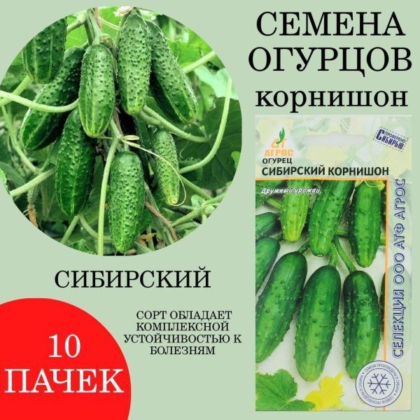 ��������� ��������: ��������� ����� ��� �������� ���������