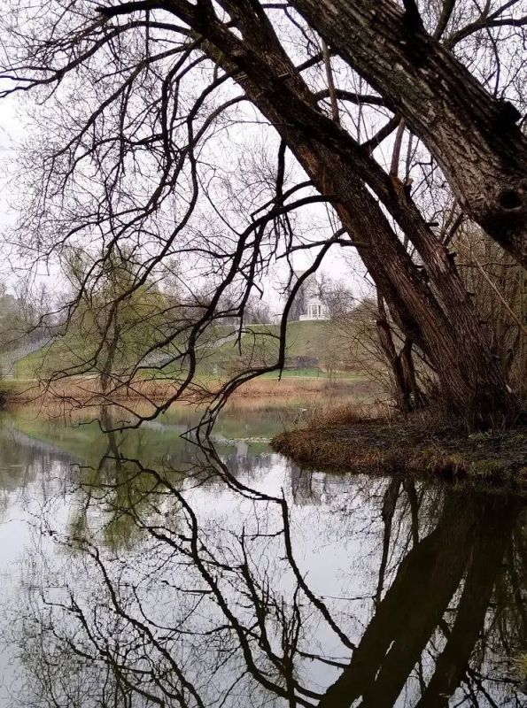 ������ ����, ������!. ������� ��������� ������� ��������� ����� ��� ����� +6�� ����������� �������� 729 �� ��. ��. ����� ���-��������, ���� �� ��������� 5 �/� (���� �������� ���������) ��� ����� � ���