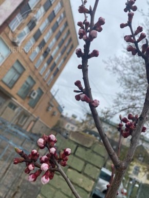 ������ �����, ��� �� - ����!