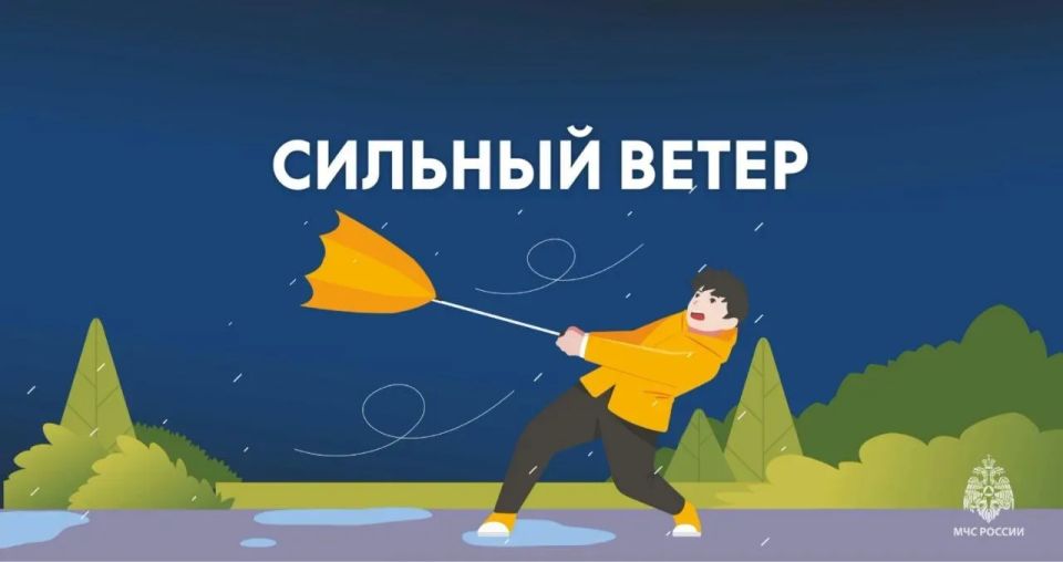 В Орловской области ожидаются порывы ветра до 20 м/с