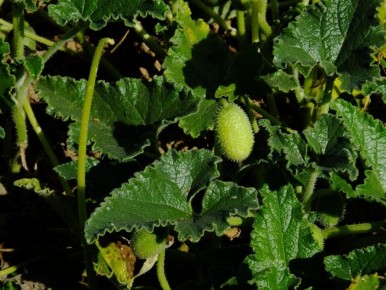 �������� � ����� ����: ��� ��������� ������� ������ � ������� ����� ������