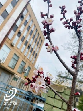 � �����-�� ������������! � ������� ������� ������ �� �� ������!