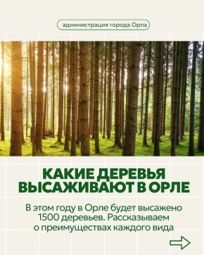 �� ��������� ��� ���� � ���� ���� �������� 3000 ��������