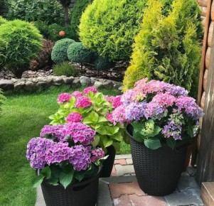 ������� ����������� ������: ��������, ��������� � ������� �� ������