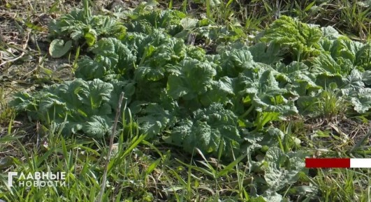 ���������� ���������� ����������������� �� ��������� � ������� �������� ������� �������� �������� � ������������� � �������� �������