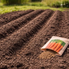 ������ ������ ����� ������� ����� ���������� ��������������