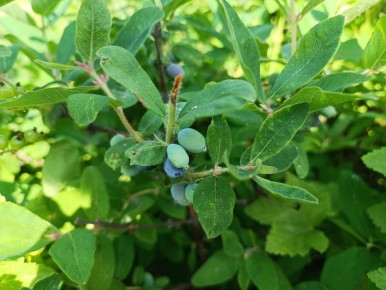 ������ � �����, ����� ��������� ��������� � ������ ��������