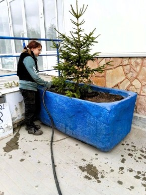 � ���� ������������ ������� ������� ��������