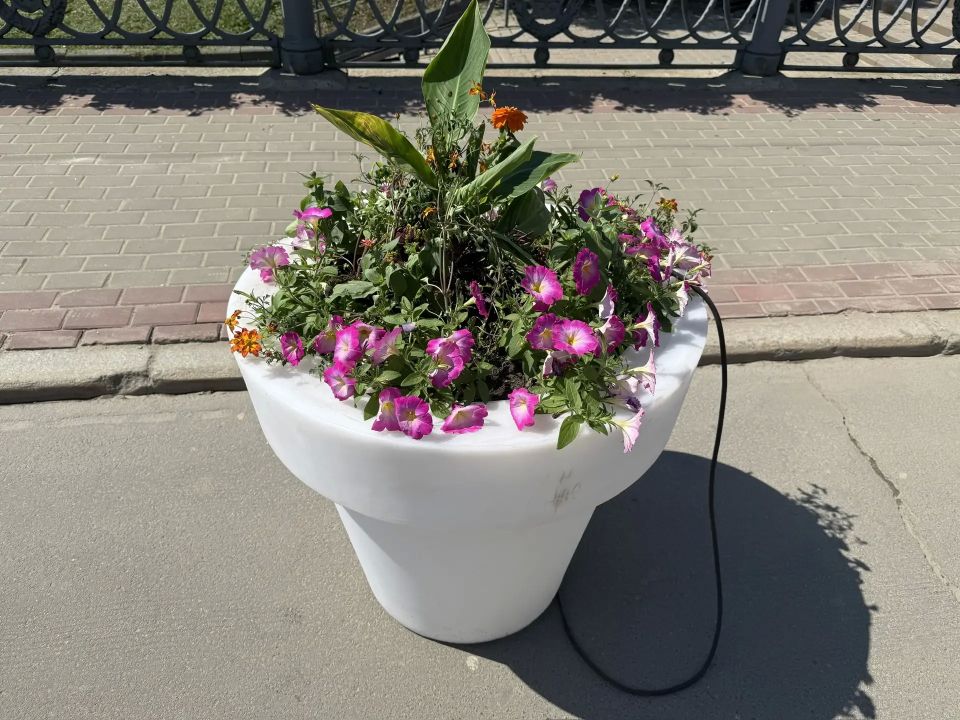 На Ленинском мосту в Орле уже установили первые вазоны На Ленинском мосту в Орле уже установили первые вазоны