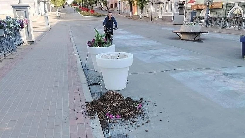 В Орле вандалы разгромили вазон на мосту