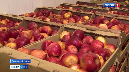 Орловские депутаты оценили продовольственные достижения Ливенского района