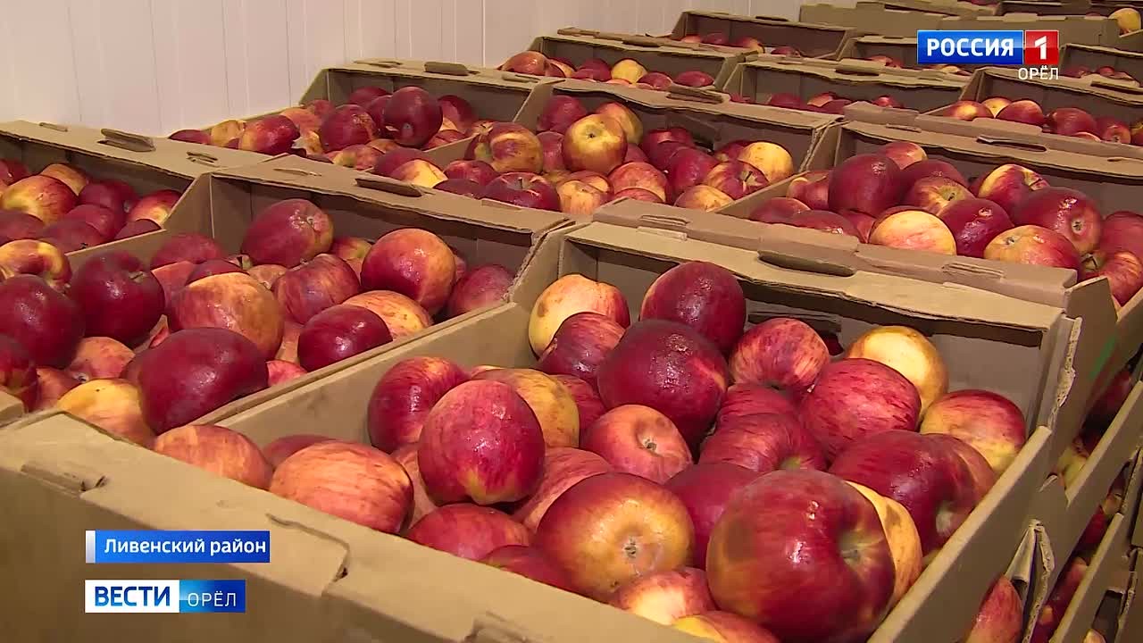 Орловские депутаты оценили продовольственные достижения Ливенского района