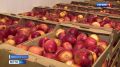 Орловские депутаты оценили продовольственные достижения Ливенского района