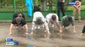 Орловцы отжались почти 30 тысяч раз в память о героях Великой Отечественной войны