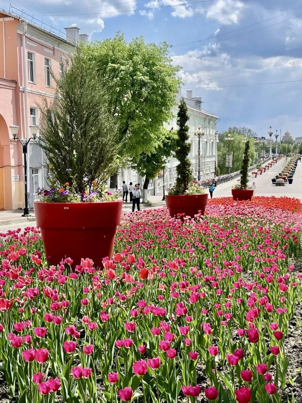 МБУ «Спецавтобаза» приглашает орловчан принять участие в фотоконкурсе #ЦветущийОрел2026 МБУ «Спецавтобаза» приглашает орловчан принять участие в фотоконкурсе #ЦветущийОрел2026