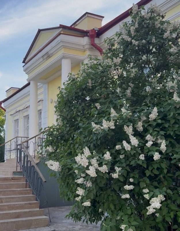 Сегодня отмечается Международный день сирени Сегодня отмечается Международный день сирени