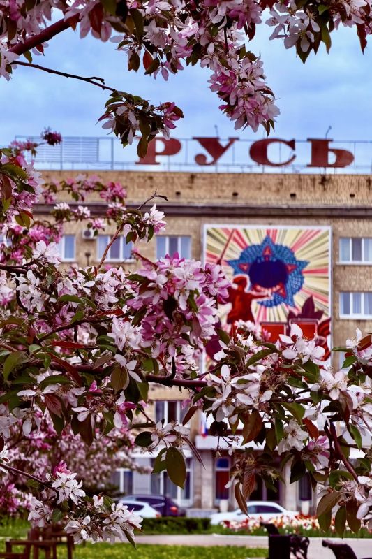 МБУ «Спецавтобаза» приглашает орловчан принять участие в фотоконкурсе #ЦветущийОрел2026 МБУ «Спецавтобаза» приглашает орловчан принять участие в фотоконкурсе #ЦветущийОрел2026