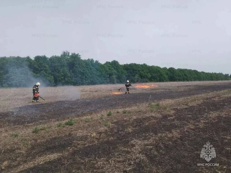 В Верховском районе подтвердились 2 термоточки, как горение сухой травы За прошедшие сутки орловские пожарно-спасательные подразделения выезжали 26 раз, из них 12 выездов на ликвидацию возгораний сухой травы, мусора и... В Верховском районе подтвердились 2 термоточки, как горение сухой травы За прошедшие сутки орловские пожарно-спасательные подразделения выезжали 26 раз, из них 12 выездов на ликвидацию возгораний сухой травы, мусора и...