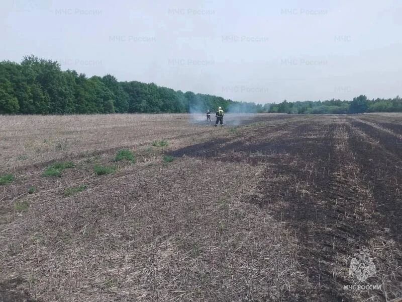 В Верховском районе подтвердились 2 термоточки, как горение сухой травы За прошедшие сутки орловские пожарно-спасательные подразделения выезжали 26 раз, из них 12 выездов на ликвидацию возгораний сухой травы, мусора и... В Верховском районе подтвердились 2 термоточки, как горение сухой травы За прошедшие сутки орловские пожарно-спасательные подразделения выезжали 26 раз, из них 12 выездов на ликвидацию возгораний сухой травы, мусора и...