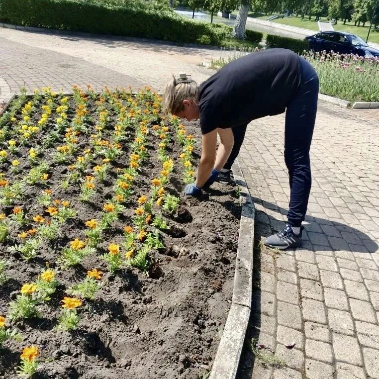 Орел расцветает: «Спецавтобаза» украшает город и заботится о клумбах Орел расцветает: «Спецавтобаза» украшает город и заботится о клумбах