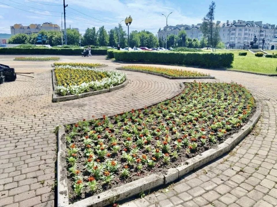Орел расцветает: «Спецавтобаза» украшает город и заботится о клумбах Орел расцветает: «Спецавтобаза» украшает город и заботится о клумбах