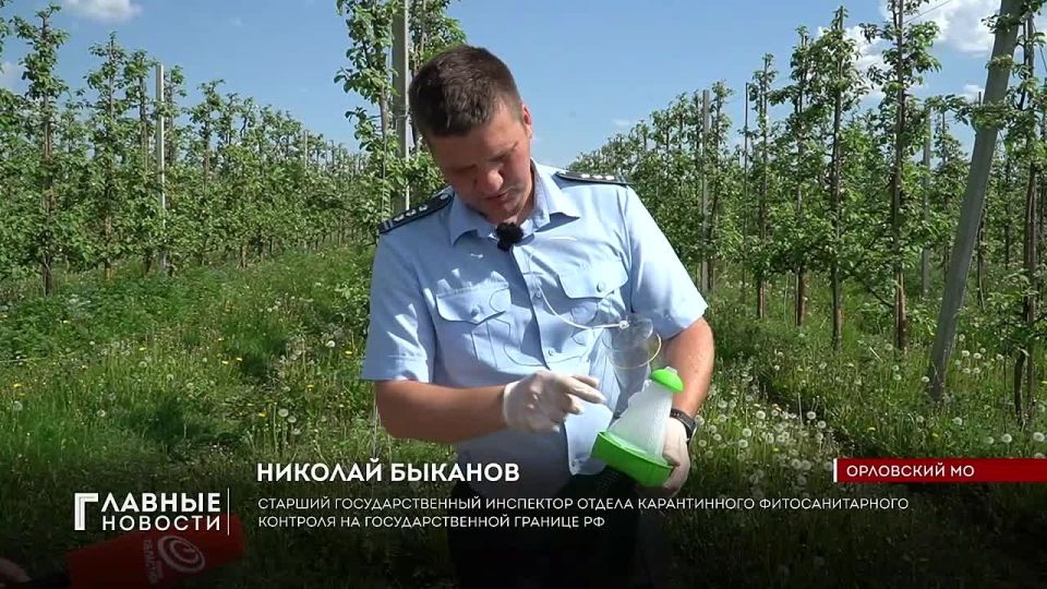 Более двух тысяч ловушек развесят в орловском регионе инспекторы Россельхознадзора
