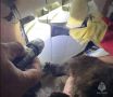 � ���� ���������� � ������� ����� ����������� ��� ������ ��������� ������������ � ������