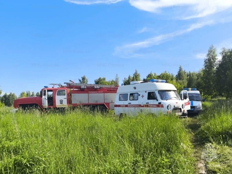 В Орле на Силикатном пруду утонул мужчина В Орле на Силикатном пруду утонул мужчина