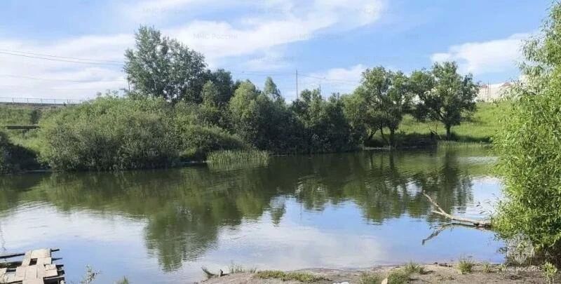 В Орле на Силикатном пруду произошла трагедия на воде В Орле на Силикатном пруду произошла трагедия на воде