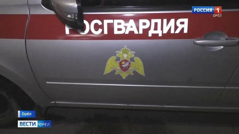 Москвич устроил драку в торговом центре Орла на Металлургов
