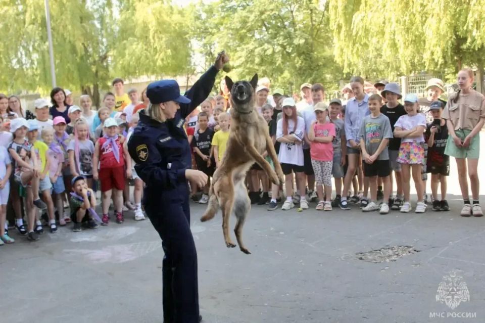 Безопасное лето начинается со знаний! Безопасное лето начинается со знаний!