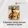 Главе ведомства будет представлен доклад о проверке по информации о совершении противоправных действий в отношении ребенка в Новосибирской области