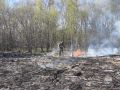МЧС России оказывает всестороннюю поддержку Минприроды и регионам в борьбе с природными пожарами
