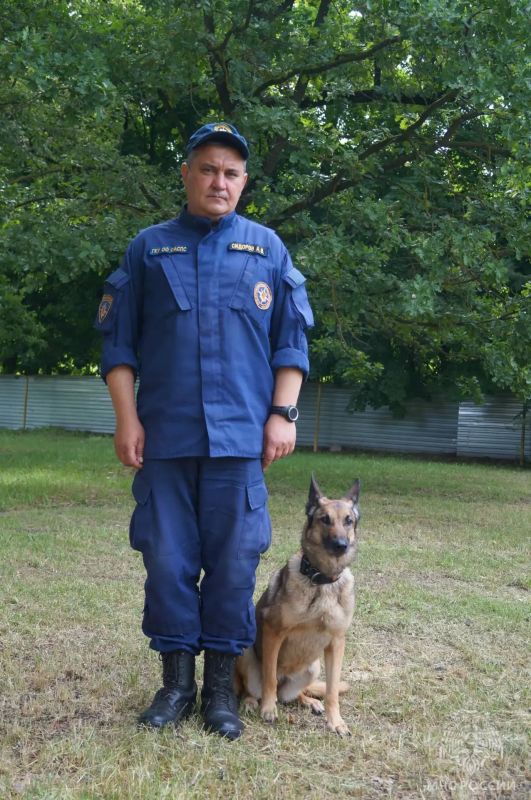 Четвероногие спасатели участвуют не только в поисках, но и в воспитании и обучении детей Четвероногие спасатели участвуют не только в поисках, но и в воспитании и обучении детей