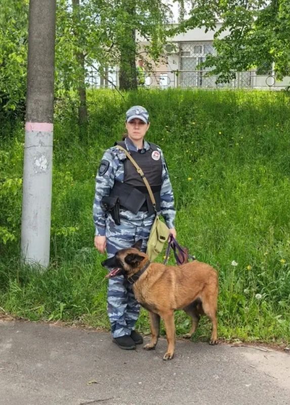 Служебный тандем: кинолог из линейного отдела МВД России на станции Орел и ее четвероногая напарница Мэри Служебный тандем: кинолог из линейного отдела МВД России на станции Орел и ее четвероногая напарница Мэри