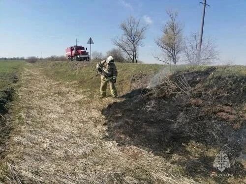 На Орловщине сократилось количество природных пожаров