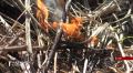 За нарушение пожарной безопасности в Орловской области уже выписано штрафов на сумму больше 370 тысяч рублей