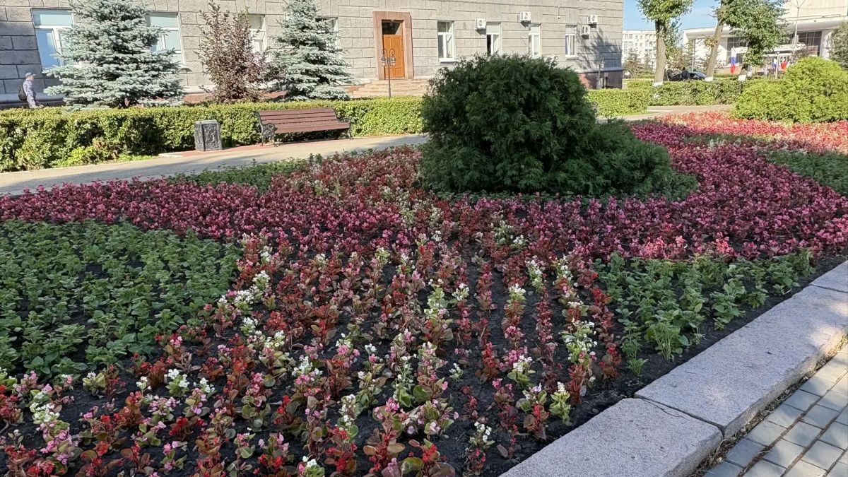7 тысяч цветов украсили клумбы города Орла! 7 тысяч цветов украсили клумбы города Орла!