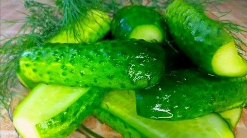 Малосольные огурцы за сутки: вкусный и быстрый рецепт