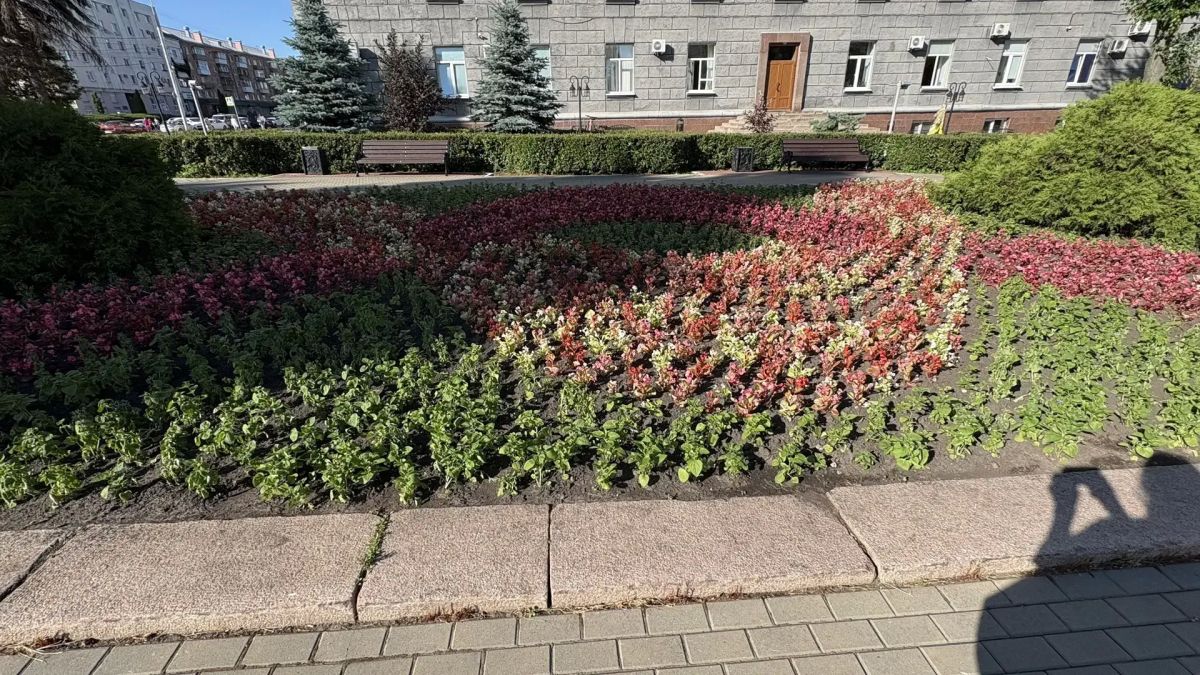 7 тысяч цветов украсили клумбы города Орла! 7 тысяч цветов украсили клумбы города Орла!