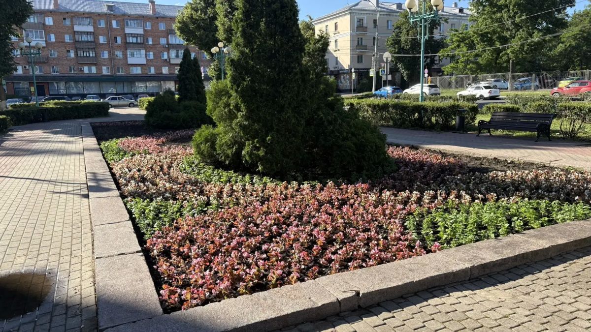 7 тысяч цветов украсили клумбы города Орла! 7 тысяч цветов украсили клумбы города Орла!