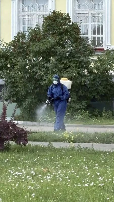 В Орле второй раз за сезон обрабатывают парки и скверы от клещей В Орле второй раз за сезон обрабатывают парки и скверы от клещей