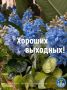 #��������57. #���������������